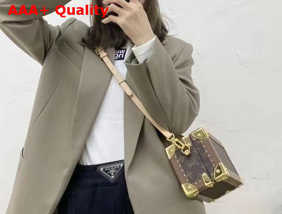 Louis Vuitton New Box Bag Monogram Replica