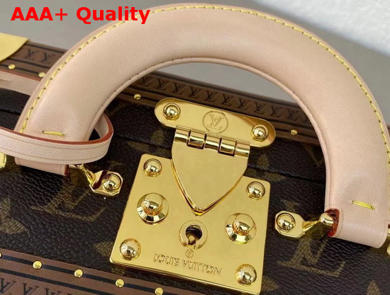 Louis Vuitton New Box Bag Monogram Replica