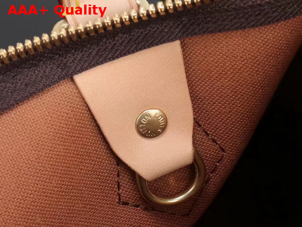 Louis Vuitton New Speedy Bandouliere 25 Monogram Canvas Replica