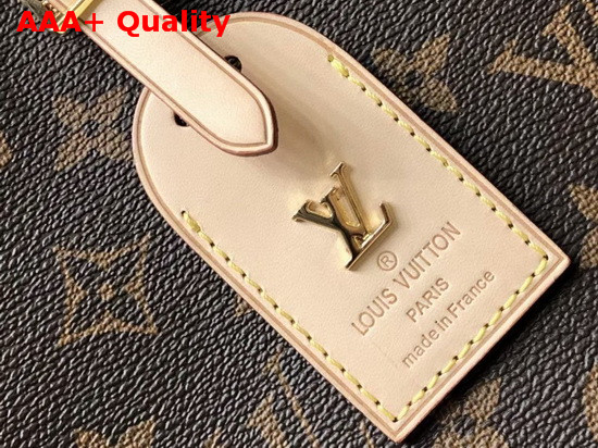 Louis Vuitton Odeon MM Natural M45355 Replica