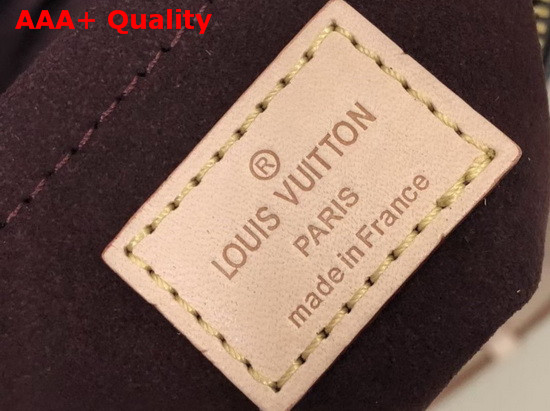 Louis Vuitton Odeon PM Natural M45354 Replica