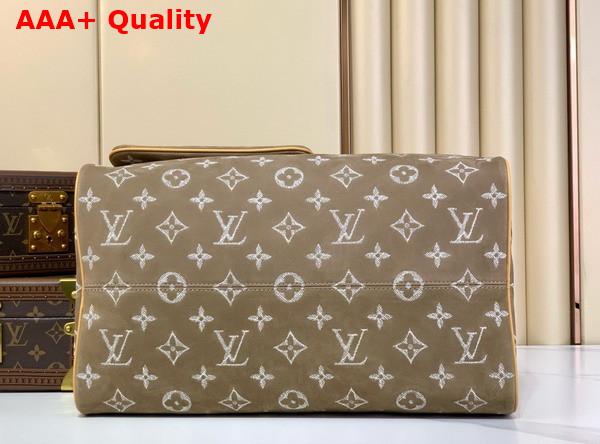 Louis Vuitton Speedy P9 Bandouliere 40 Handbag in Khaki Nubuck Calf Leather Replica