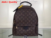 Louis Vuitton Palm Springs Backpack MM Monogram Coated Canvas Replica