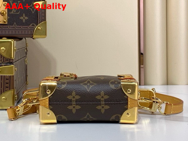 Louis Vuitton Pico Side Trunk in Monogram Coated Canvas M83018 Replica