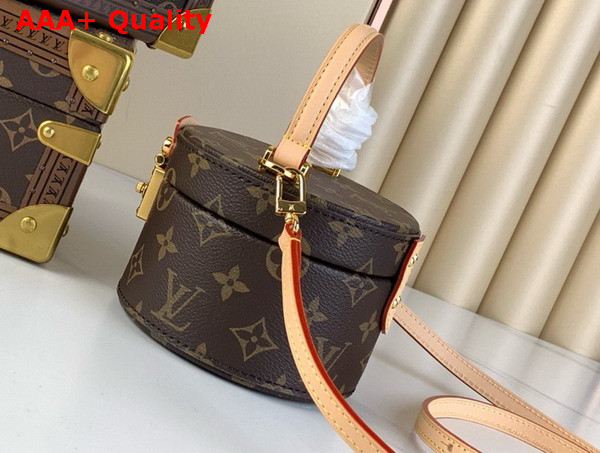 Louis Vuitton Scott Bag in Monogram Coated Canvas M46933 Replica