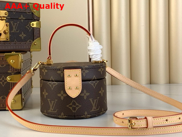 Louis Vuitton Scott Bag in Monogram Coated Canvas M46933 Replica