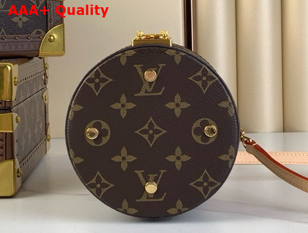 Louis Vuitton Scott Bag in Monogram Coated Canvas M46933 Replica