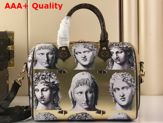 Louis Vuitton Seedy Bandouliere 25 Handbag is Made From Golden Metallic Leather Adorned with Prints of Statue Heads M59136 Replica