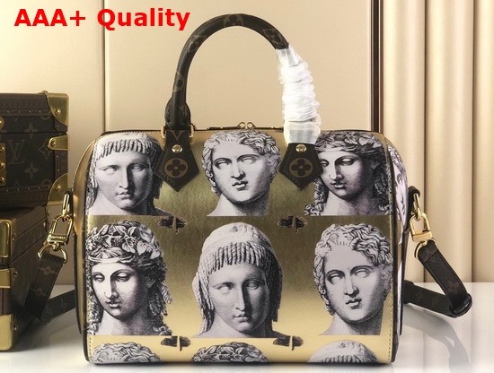 Louis Vuitton Seedy Bandouliere 25 Handbag is Made From Golden Metallic Leather Adorned with Prints of Statue Heads M59136 Replica