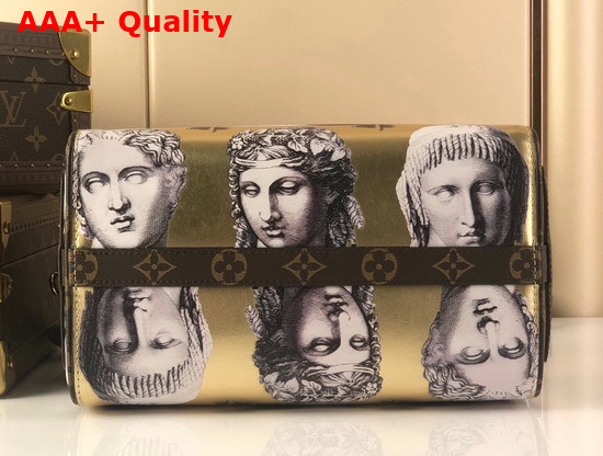 Louis Vuitton Seedy Bandouliere 25 Handbag is Made From Golden Metallic Leather Adorned with Prints of Statue Heads M59136 Replica