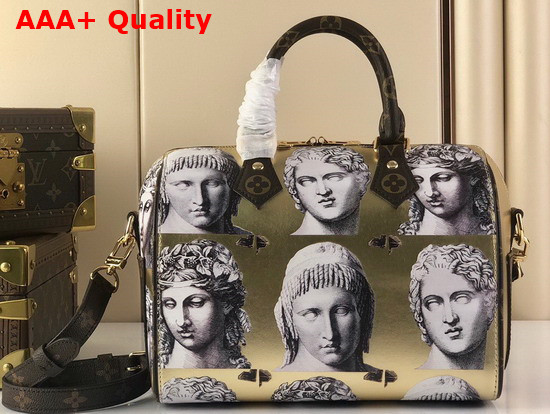 Louis Vuitton Seedy Bandouliere 25 Handbag is Made From Golden Metallic Leather Adorned with Prints of Statue Heads M59136 Replica