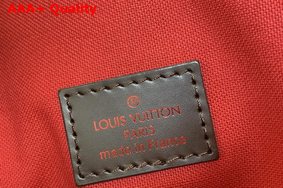 Louis Vuitton Siena MM Damier Ebene Canvas N41546 Replica