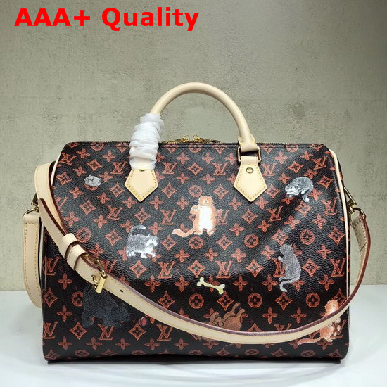 Louis Vuitton Speedy 30 Bandouliere Brown and Orange Transformed Monogram Canvas M44401 Replica