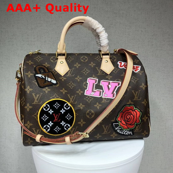 Louis Vuitton Speedy 30 Bandouliere Monogram Coated Canvas with Applied and Printed Patches M43989 Replica