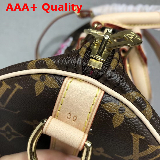 Louis Vuitton Speedy 30 Bandouliere Monogram Coated Canvas with Applied and Printed Patches M43989 Replica