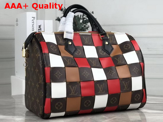 Louis Vuitton Speedy 30 in Monogram Canvas Woven with Colored Leather Replica