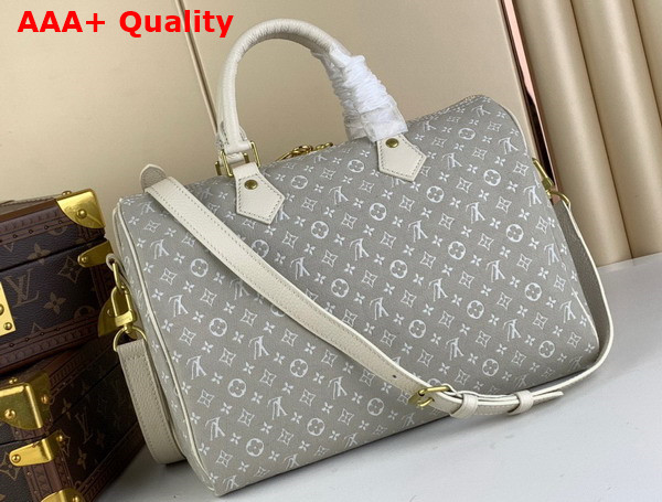 Louis Vuitton Speedy Bandouliere 30 in Grey Monogram Jacquard Denim Replica