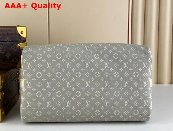 Louis Vuitton Speedy Bandouliere 30 in Grey Monogram Jacquard Denim Replica