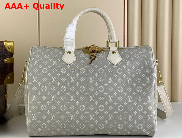 Louis Vuitton Speedy Bandouliere 30 in Grey Monogram Jacquard Denim Replica