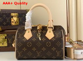 Louis Vuitton Speedy Bandouliere 20 Beige Monogram Canvas M46222 Replica