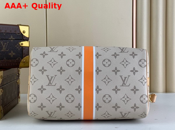 Louis Vuitton Speedy Bandouliere 25 in Beige Ocher Monopaname Coated Canvas M46749 Replica