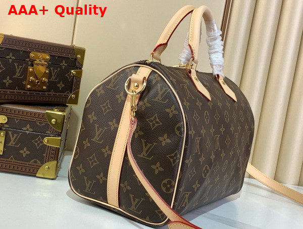 Louis Vuitton Speedy Bandouliere 30 Monogram Canvas M46980 Replica