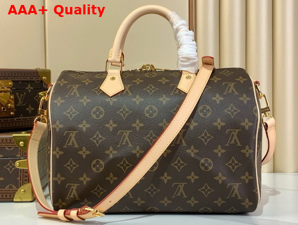 Louis Vuitton Speedy Bandouliere 30 Monogram Canvas M46980 Replica