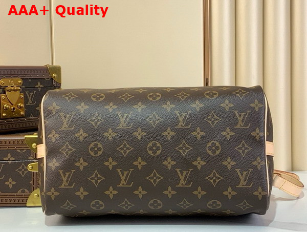 Louis Vuitton Speedy Bandouliere 30 Monogram Canvas M46980 Replica