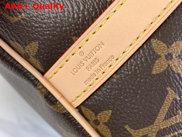 Louis Vuitton Speedy Bandouliere 30 Monogram Canvas M46980 Replica