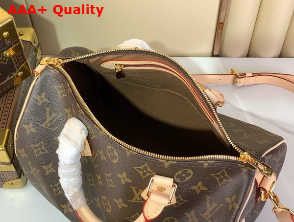 Louis Vuitton Speedy Bandouliere 30 Monogram Canvas M46980 Replica