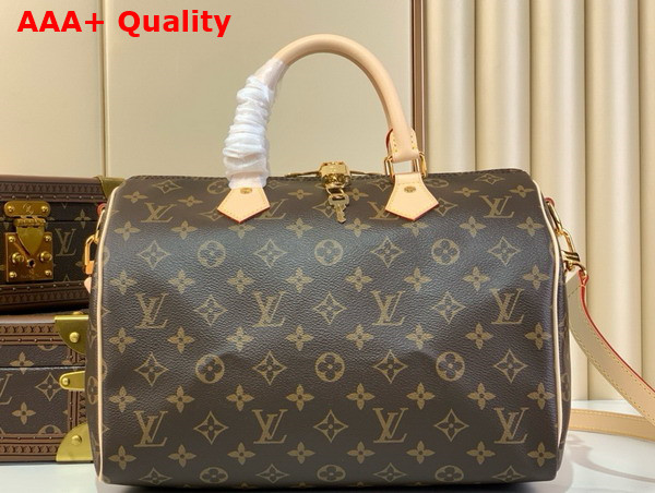 Louis Vuitton Speedy Bandouliere 30 Monogram Canvas M46980 Replica