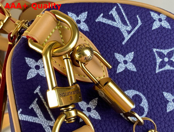 Louis Vuitton Speedy P9 Bandouliere 25 Amethyst Purple Calf Leather M11562 Replica