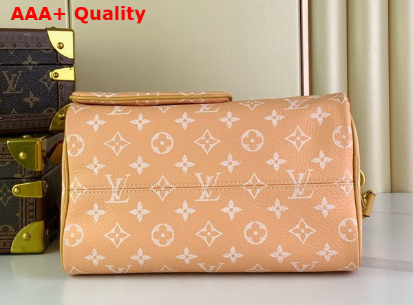 Louis Vuitton Speedy P9 Bandouliere 25 Bag in Nubuck Calf Leather with Monogram Motif Replica