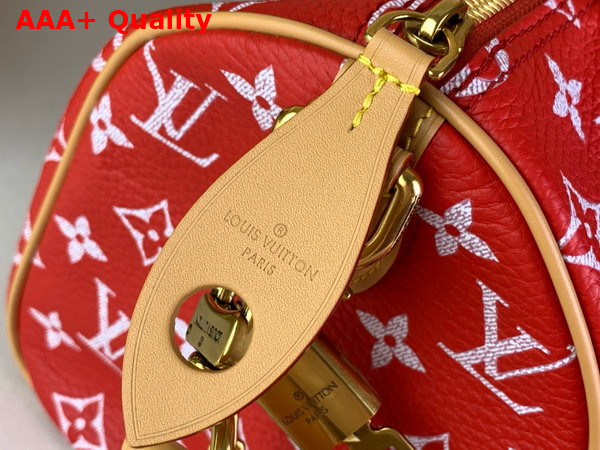 Louis Vuitton Speedy P9 Bandouliere 25 Red Monogram Leather M24425 Replica