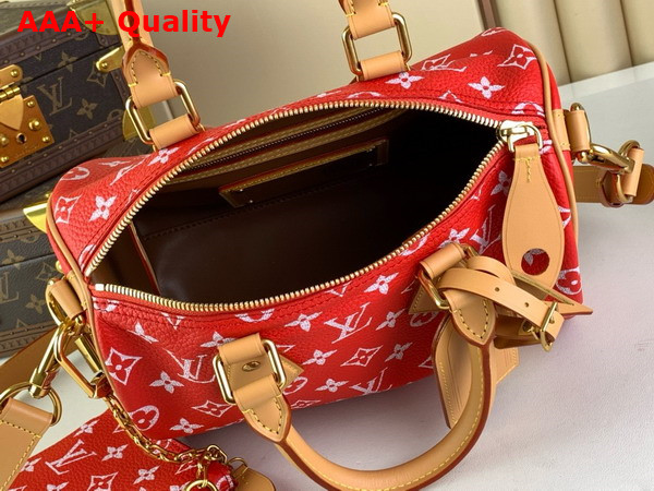 Louis Vuitton Speedy P9 Bandouliere 25 Red Monogram Leather M24425 Replica