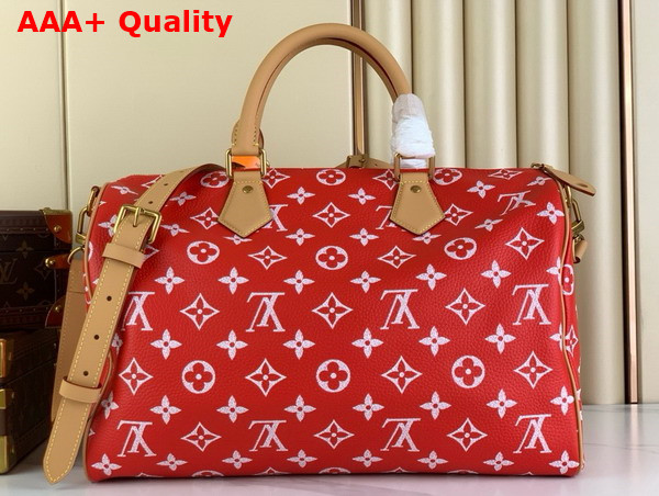 Louis Vuitton Speedy P9 Bandouliere 40 Red Monogram Leather M24420 Replica