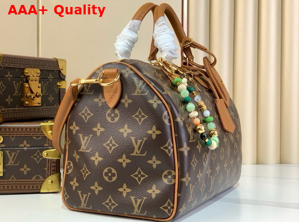 Louis Vuitton Speedy Soft 30 Boho Monogram Tan N87212 Replica