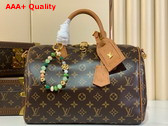 Louis Vuitton Speedy Soft 30 Boho Monogram Tan N87212 Replica