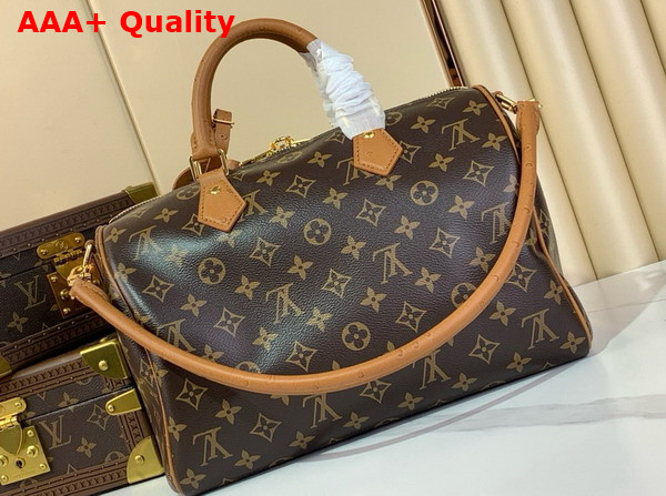 Louis Vuitton Speedy Soft 30 Boho Monogram Tan N87212 Replica