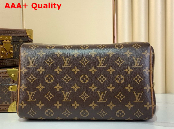 Louis Vuitton Speedy Soft 30 Boho Monogram Tan N87212 Replica