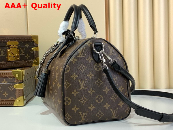 Louis Vuitton Speedy Soft 30 Dark Monogram Black M12243 Replica