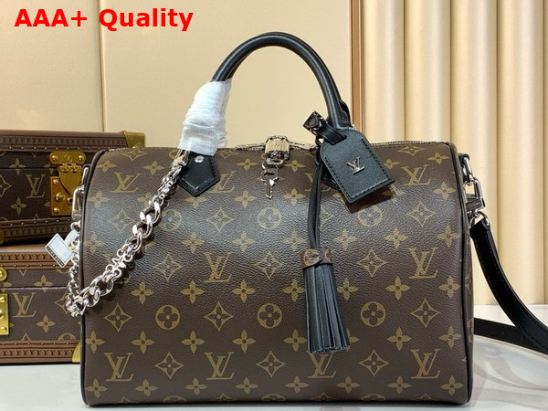 Louis Vuitton Speedy Soft 30 Dark Monogram Black M12243 Replica