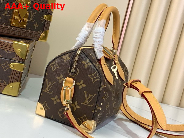 Louis Vuitton Speedy Trunk 20 Monogram Canvas and Natural Cowhide Leather Trim Replica