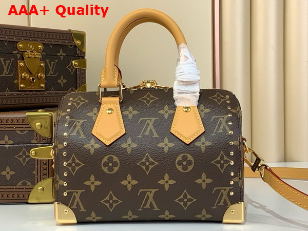 Louis Vuitton Speedy Trunk 20 Monogram Canvas and Natural Cowhide Leather Trim Replica