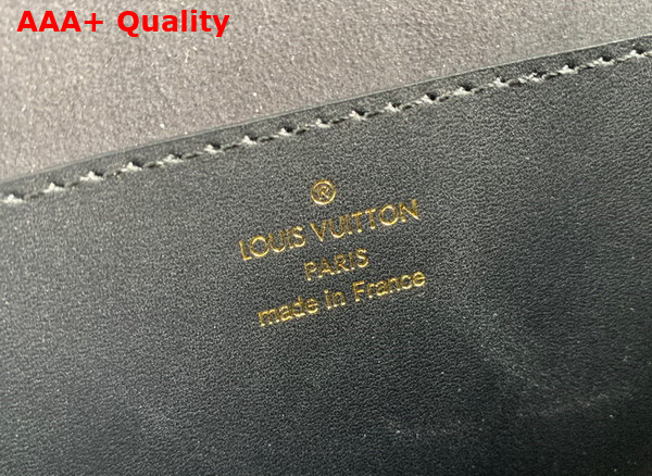 Louis Vuitton Tilsitt Handbag in Monogram and Monogram Reverse Coated Canvas M46548 Replica