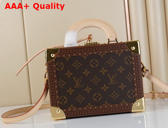 Louis Vuitton Trunk Bag in Monogram Canvas Replica