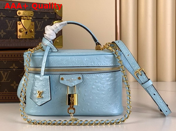 Louis Vuitton Vanity Chain Pouch in Blue Glaze Ostrich Leather N85806 Replica