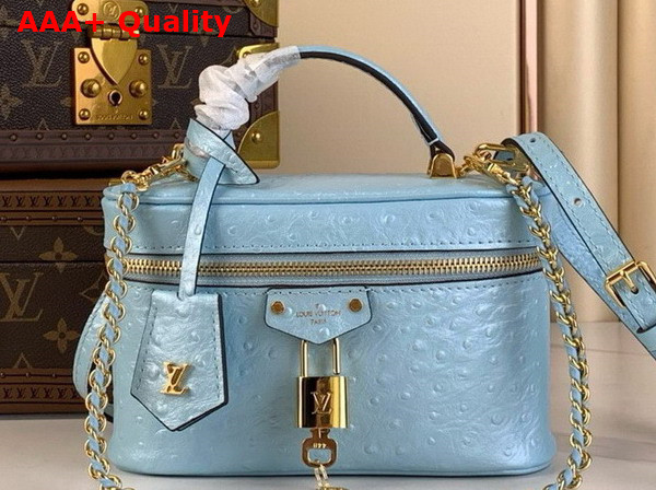 Louis Vuitton Vanity Chain Pouch in Blue Glaze Ostrich Leather N85806 Replica