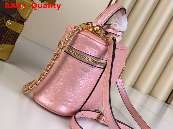 Louis Vuitton Vanity Chain Pouch in Pink Glaze Ostrich Leather N85820 Replica