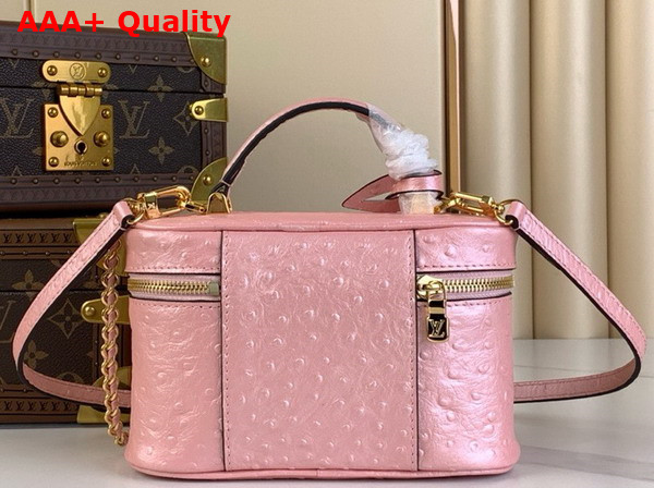 Louis Vuitton Vanity Chain Pouch in Pink Glaze Ostrich Leather N85820 Replica